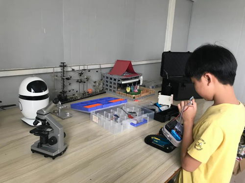 鲤城学子以科技之光点亮新时代好少年荣耀，研发盲人辅助器械致敬霍金精神
